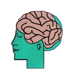 How Cognitive Functions Influence Decision-Making?