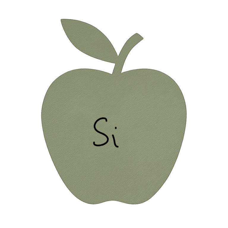 100 Examples of Si: Honoring the Past & Navigating the Present with Memory