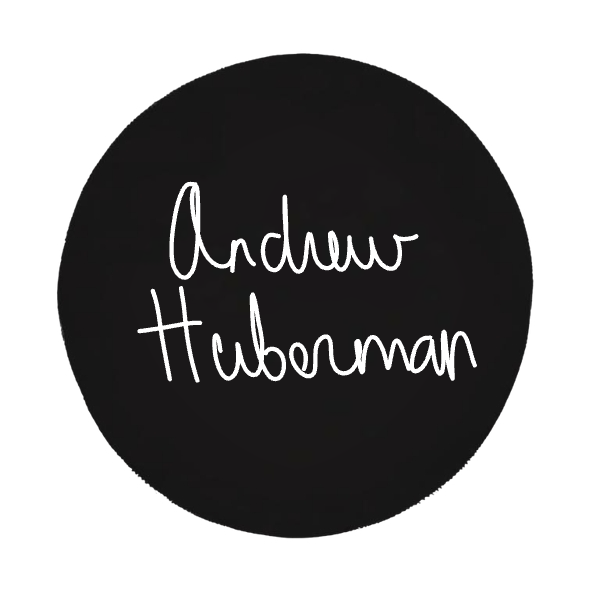 A deep dive into Andrew Huberman’s ESTP personality, emphasizing his sensory-driven, fact-based teaching style.