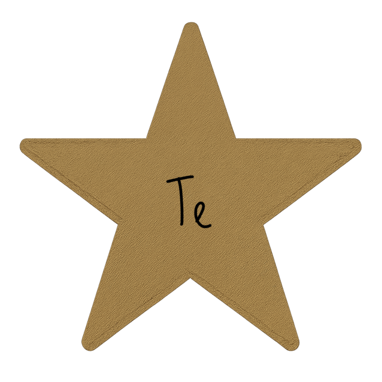 Te Cognitive Function: Building Order in a Chaotic World