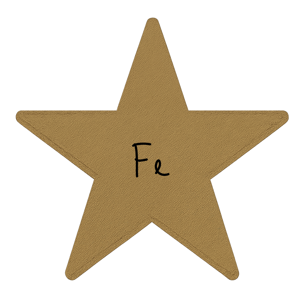 Fe Cognitive Function: The secret Power of Human Connection