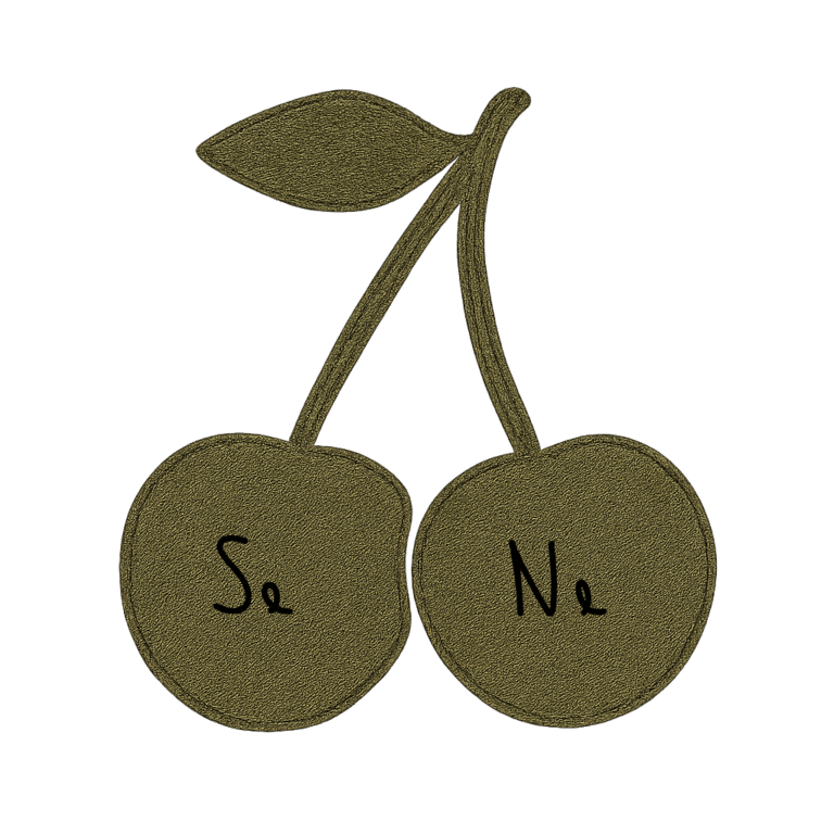 Se vs Ne The Crucial Difference Between Living in Reality and Chasing Possibilities